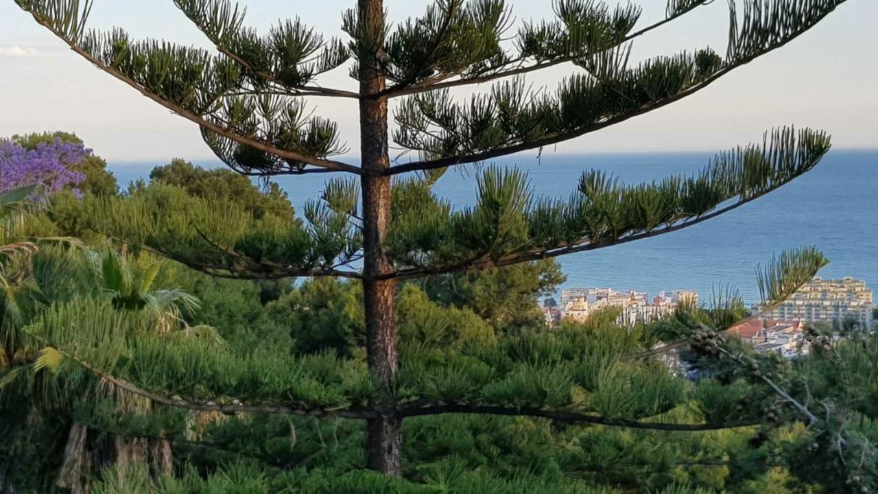 Rentcostadelsol Villa Pinares-马拉加 外观 照片